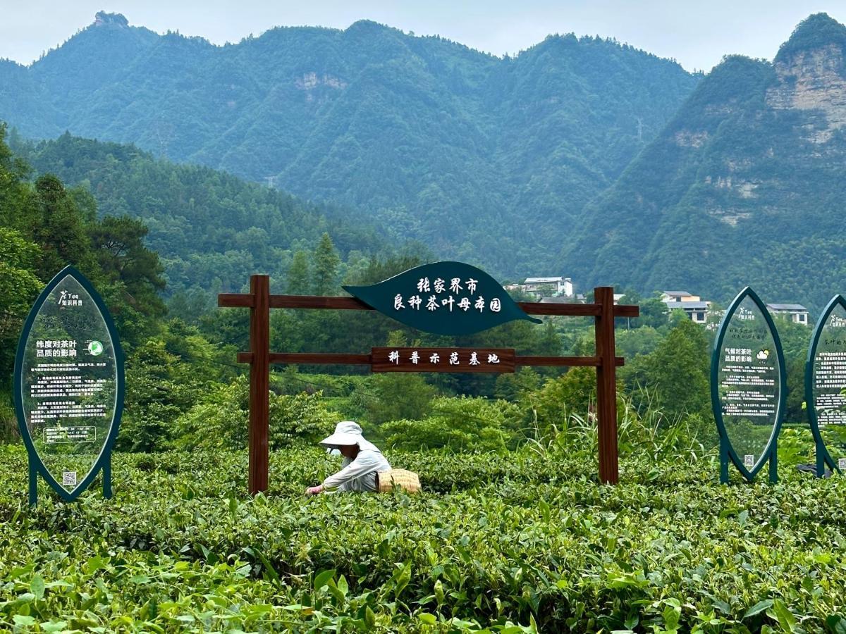 Zhangjiajie National Park Nvue Resorts Extérieur photo