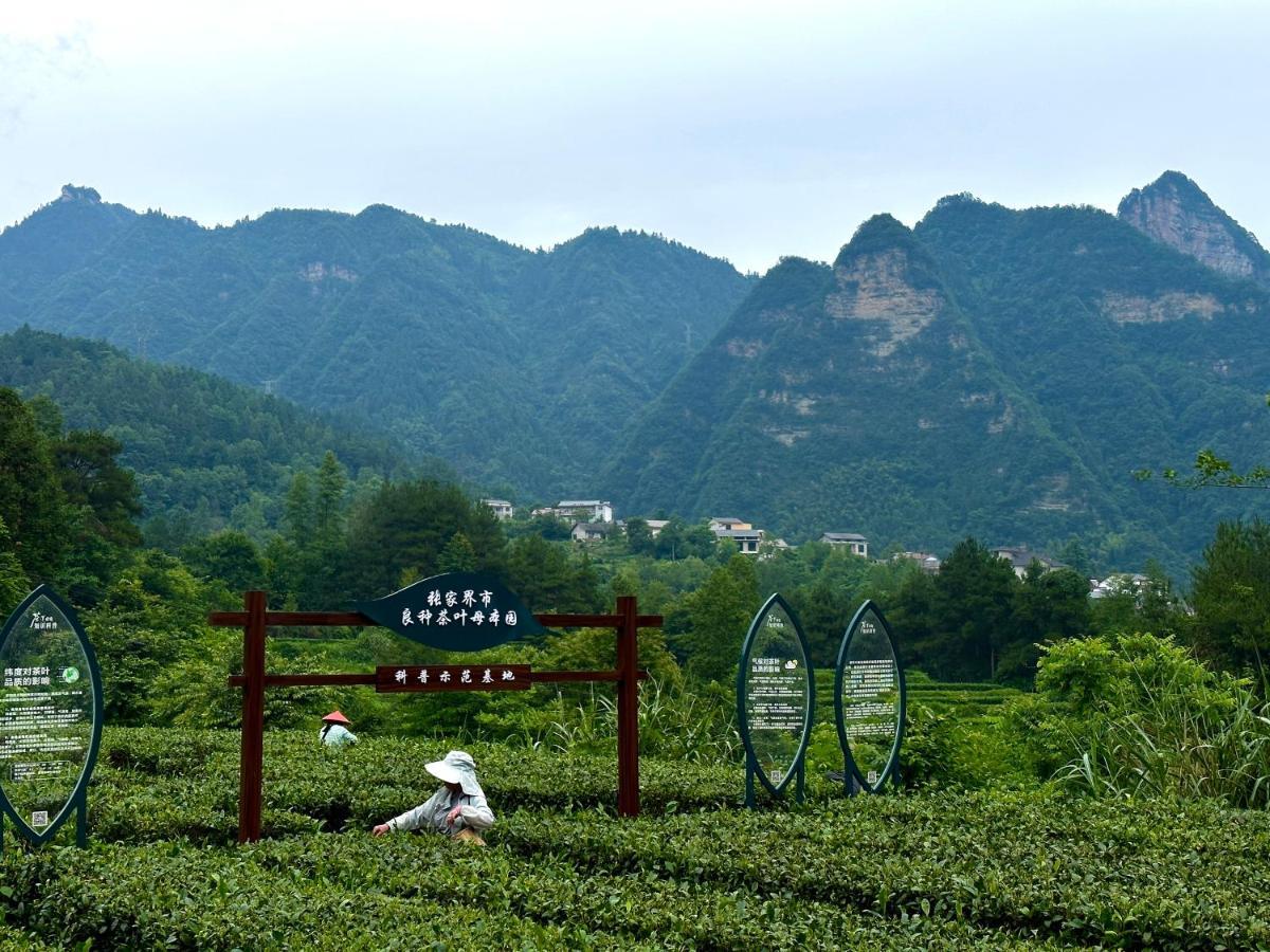 Zhangjiajie National Park Nvue Resorts Extérieur photo